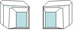 葡萄酸アンモニウムナトリウムの二種類の結晶     