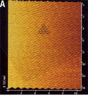 CdTe単結晶薄膜の原子間力顕微鏡写真