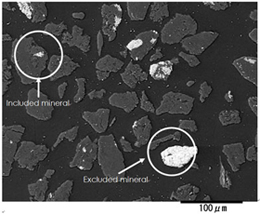 石炭粒子を樹脂で固めて研磨し、走査電子顕微鏡で観察。