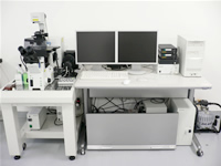 共焦点レーザ走査型顕微鏡, オリンパス, FV1000