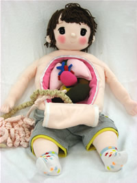 布製・小児内臓解剖モデル”ひかるちゃん”
